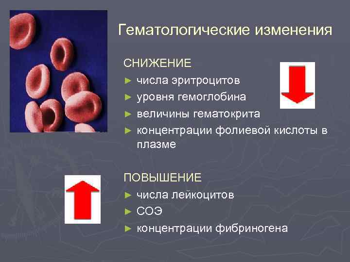 Гематологические изменения СНИЖЕНИЕ ► числа эритроцитов ► уровня гемоглобина ► величины гематокрита ► концентрации