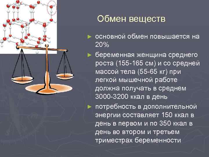 Обмен веществ основной обмен повышается на 20% ► беременная женщина среднего роста (155 -165