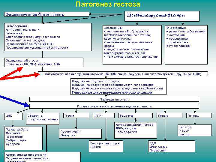Патогенез гестоза Дестабилизирующие факторы Физиологическая беременность Гиперволемия Активация коагуляции Гипоосмия Физиологическая иммуносупрессия Снижение тонуса