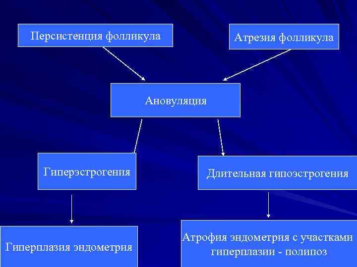 Персистенция фолликула Атрезия фолликула Ановуляция Гиперэстрогения Гиперплазия эндометрия Длительная гипоэстрогения Атрофия эндометрия с участками