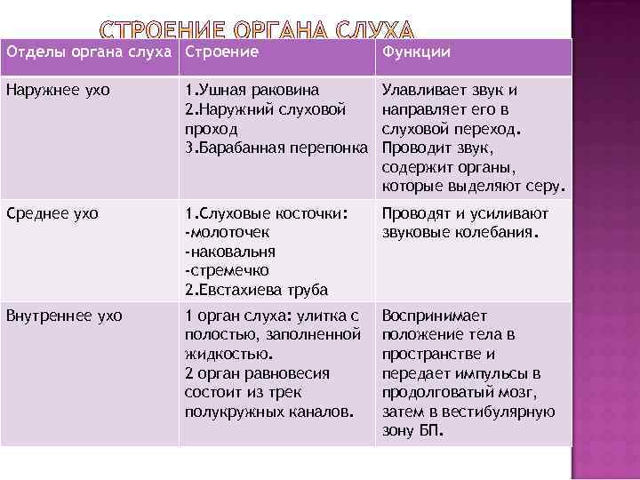 Число отделов органа слуха. Слуховой анализатор орган слуха таблица. Строение органа слуха уха таблица. Таблица орган слуха 8 класс биология. Строение уха таблица 8 класс.