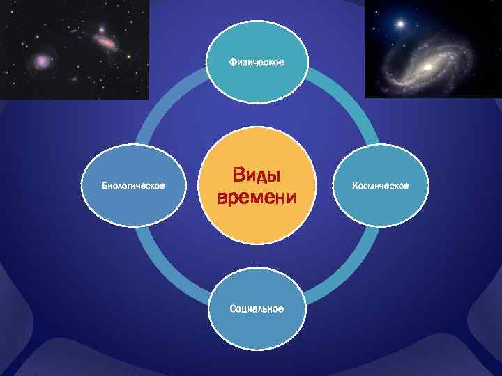 Физическое Биологическое Виды времени Социальное Космическое 