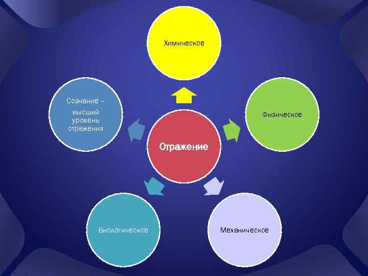 Химическое Сознание – высший уровень отражения Физическое Отражение Биологическое Механическое 