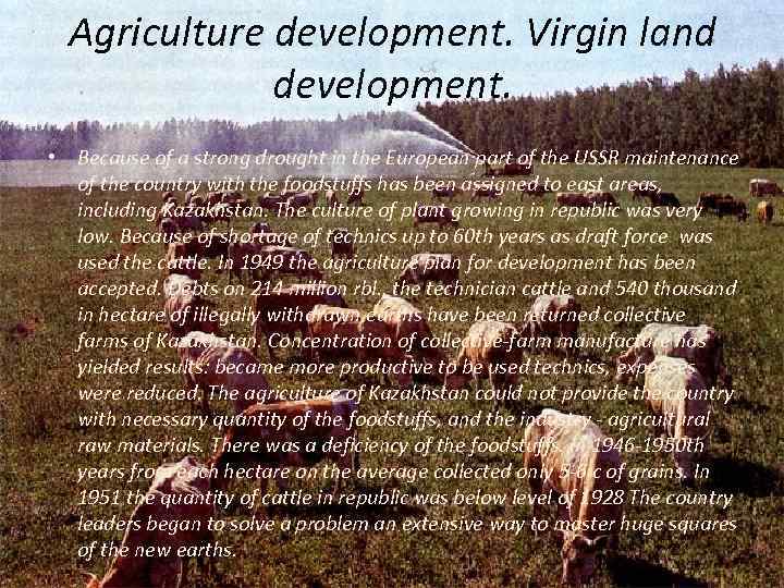 Agriculture development. Virgin land development. • Because of a strong drought in the European