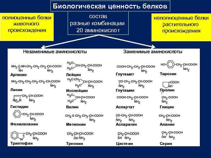 Ценность белка. Критерии биологической ценности белков биохимия. Биологическая ценность различных белков. Пищевая ценность различных белков биохимия. Биологическая ценность белка.