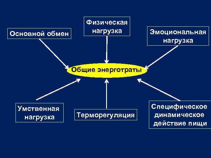 Продолжите схему терморегуляции повышение температуры окружающей среды