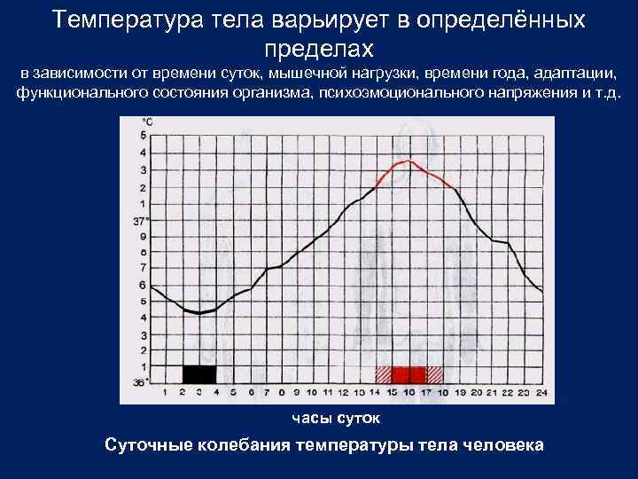 Суточные колебания температуры