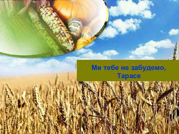 Ми тебе не забудемо, Тарасе 