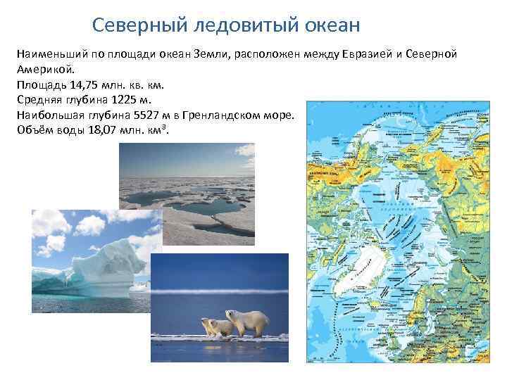 Северный ледовитый океан Наименьший по площади океан Земли, расположен между Евразией и Северной Америкой.