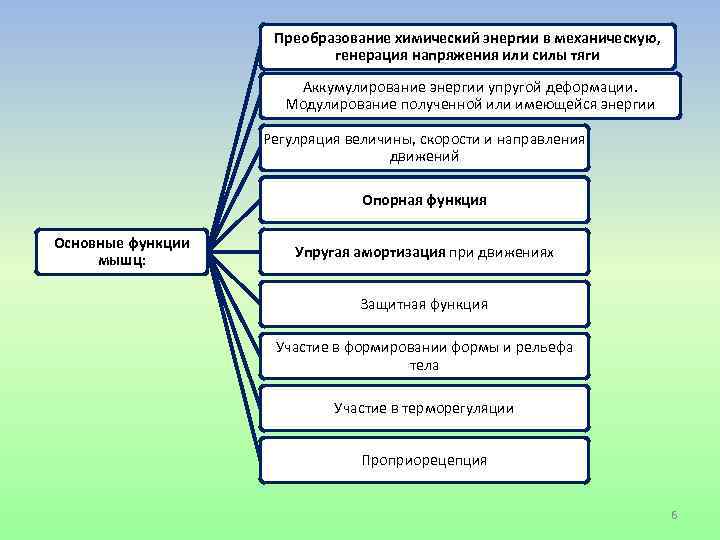 Выберите изображения иллюстрирующие видимые проявления химической энергии