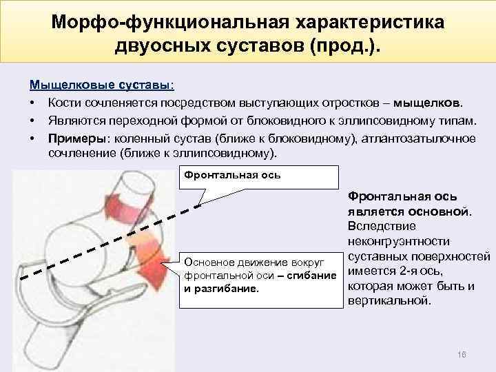 Изменение положения в суставе поверхностей сочленяющихся костей