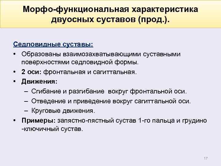 Морфо-функциональная характеристика двуосных суставов (прод. ). Седловидные суставы: • Образованы взаимозахватывающими суставными поверхностями седловидной