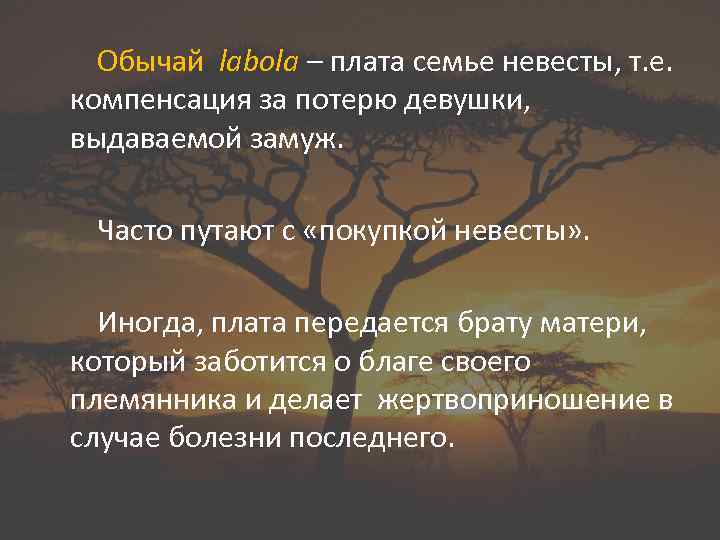 Обычай labola – плата семье невесты, т. е. компенсация за потерю девушки, выдаваемой замуж.