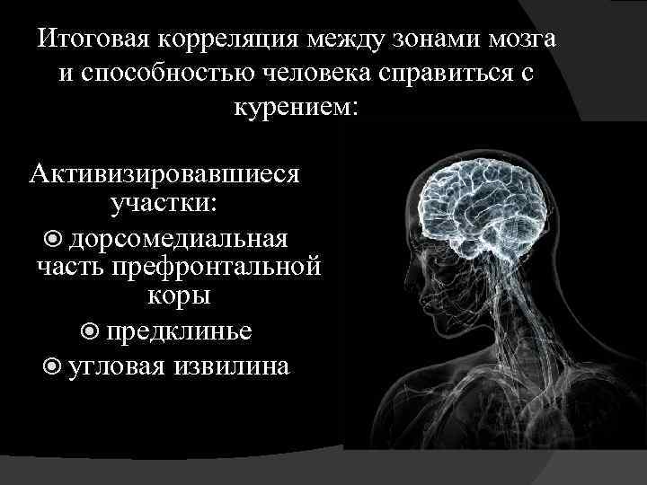 Итоговая корреляция между зонами мозга и способностью человека справиться с курением: Активизировавшиеся участки: дорсомедиальная