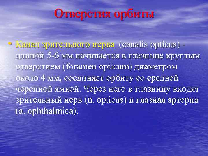 Отверстия орбиты • Канал зрительного нерва (canalis opticus) - длиной 5 -6 мм начинается