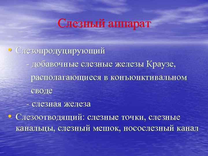 Слезный аппарат • Слезопродуцирующий - добавочные слезные железы Краузе, располагающиеся в конъюнктивальном своде -