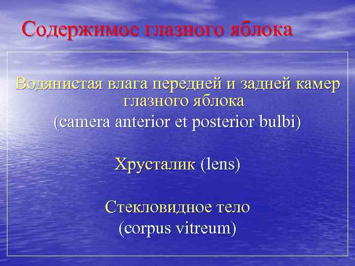 Содержимое глазного яблока Водянистая влага передней и задней камер глазного яблока (сamera anterior et