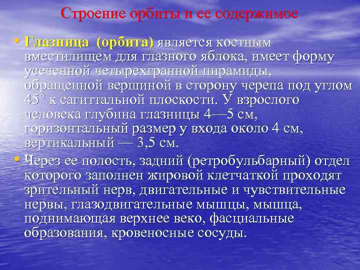 Содержимое орбиты