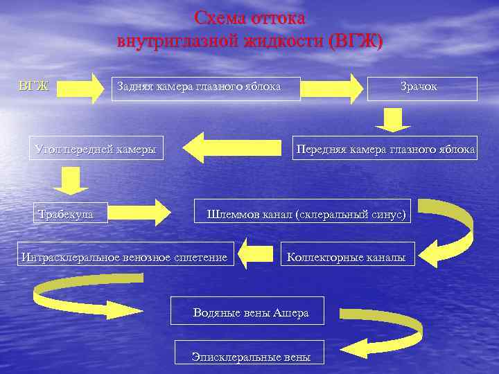 Схема оттока внутриглазной жидкости (ВГЖ) ВГЖ Задняя камера глазного яблока Зрачок Угол передней камеры