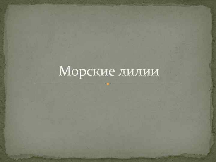 Морские лилии 