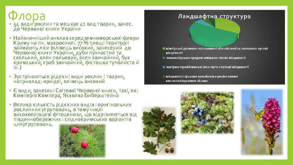 Флора 54 види рослин та мешкає 41 вид тварин, занес. • до Червоної книги