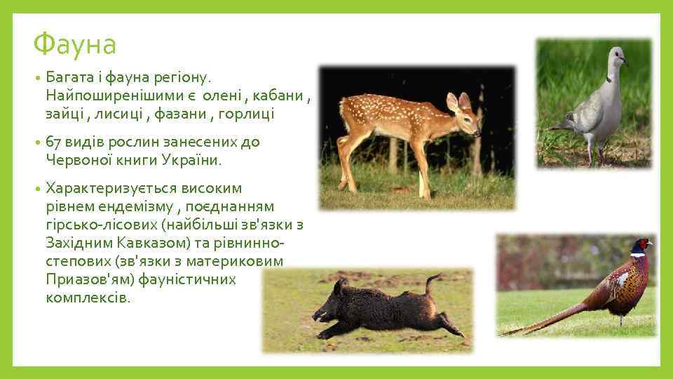 Фауна • Багата і фауна регіону. Найпоширенішими є олені , кабани , зайці ,