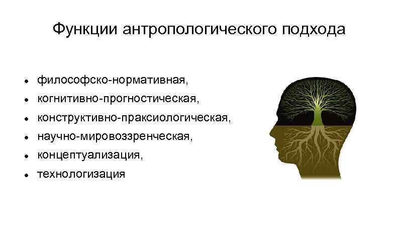 Функции антропологического подхода философско-нормативная, когнитивно-прогностическая, конструктивно-праксиологическая, научно-мировоззренческая, концептуализация, технологизация 