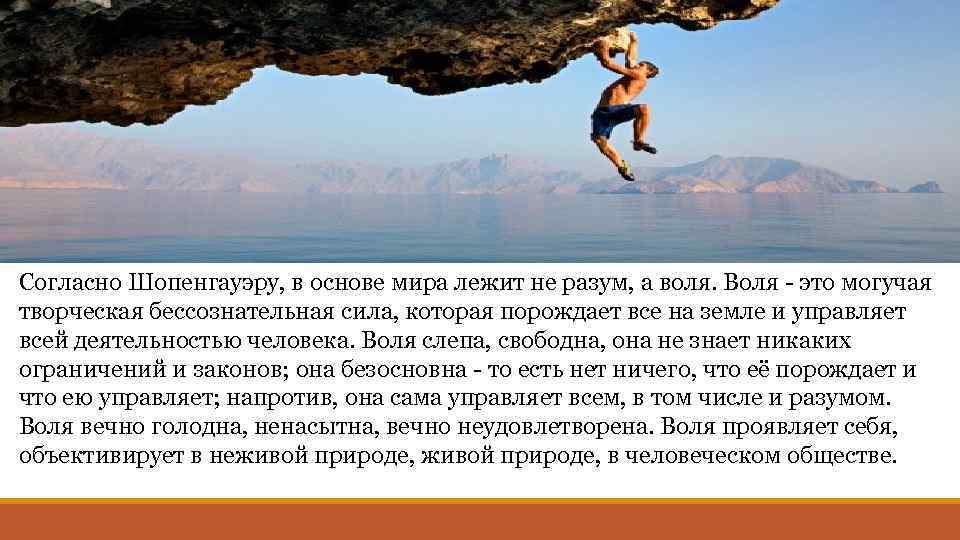 Согласно Шопенгауэру, в основе мира лежит не разум, а воля. Воля - это могучая