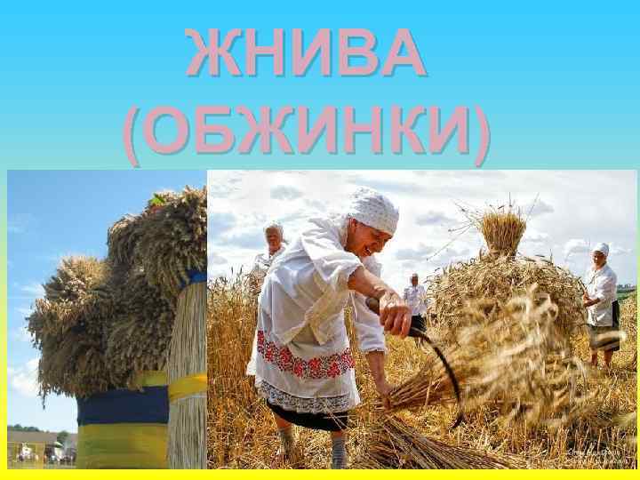 ЖНИВА (ОБЖИНКИ) 