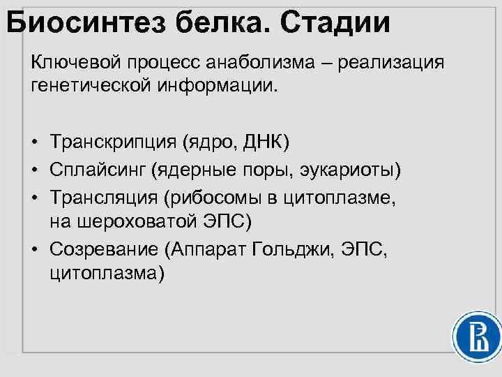 Биосинтез белка. Стадии Ключевой процесс анаболизма – реализация генетической информации. • Транскрипция (ядро, ДНК)