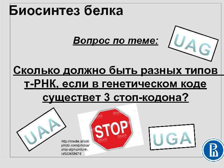 Биосинтез белка Вопрос по теме: Сколько должно быть разных типов т-РНК, если в генетическом