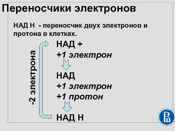 Кодирует ферменты содержит белки переносчики электронов. Переносчики электронов. Строение переносчиков электронов. Переносчик протонов и электронов в организме. Переносчики электронов в электронном транспортной сети.