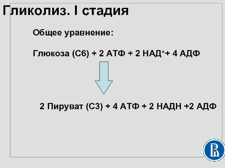 Гликолиз. I стадия Общее уравнение: Глюкоза (С 6) + 2 АТФ + 2 НАД++