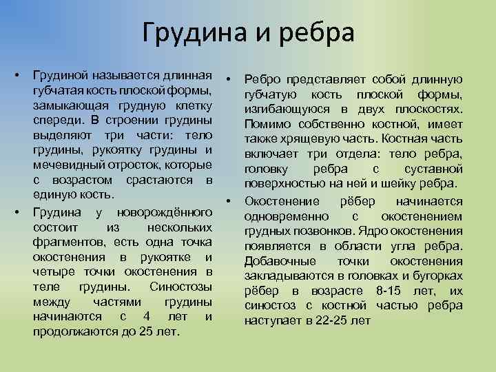 Грудина и ребра • • Грудиной называется длинная губчатая кость плоской формы, замыкающая грудную