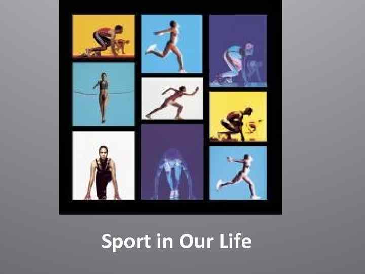 Sport in Our Life 