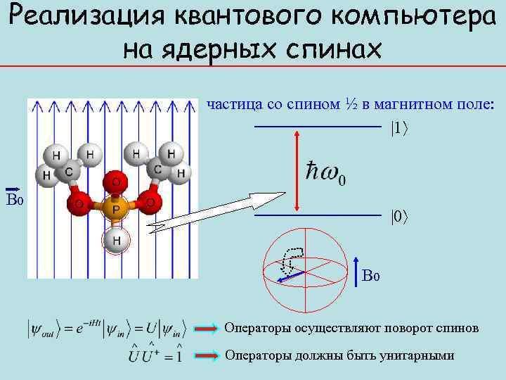 Реализация квантового компьютера на ядерных спинах частица со спином ½ в магнитном поле: |1