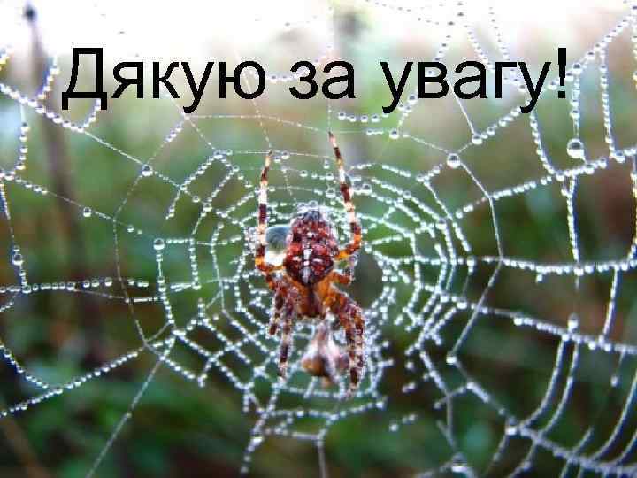 Дякую за увагу! 12 