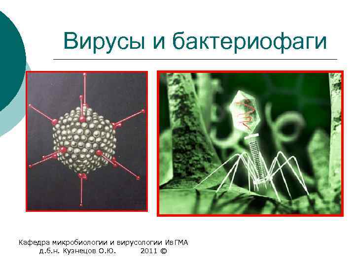 Бактериофаги презентация по микробиологии