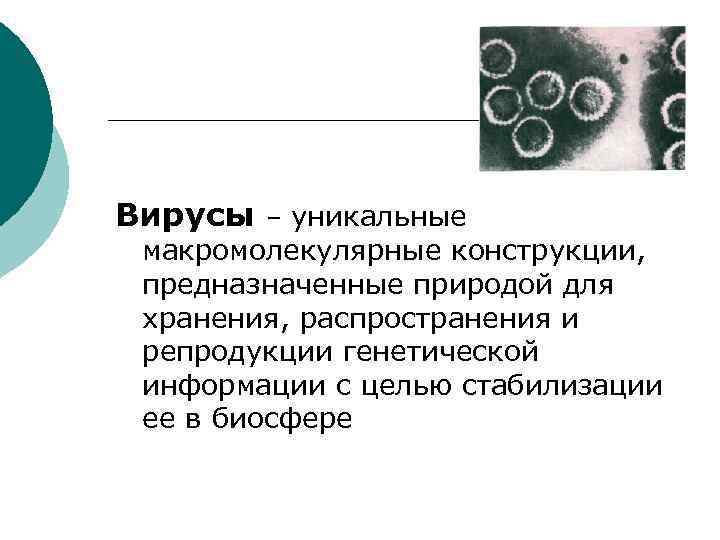 Вирусы – уникальные макромолекулярные конструкции, предназначенные природой для хранения, распространения и репродукции генетической информации