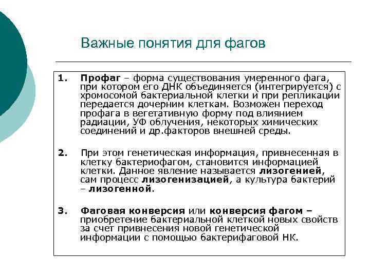 Важные понятия для фагов 1. Профаг – форма существования умеренного фага, при котором его