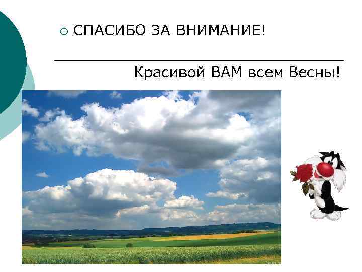 ¡ СПАСИБО ЗА ВНИМАНИЕ! Красивой ВАМ всем Весны! 