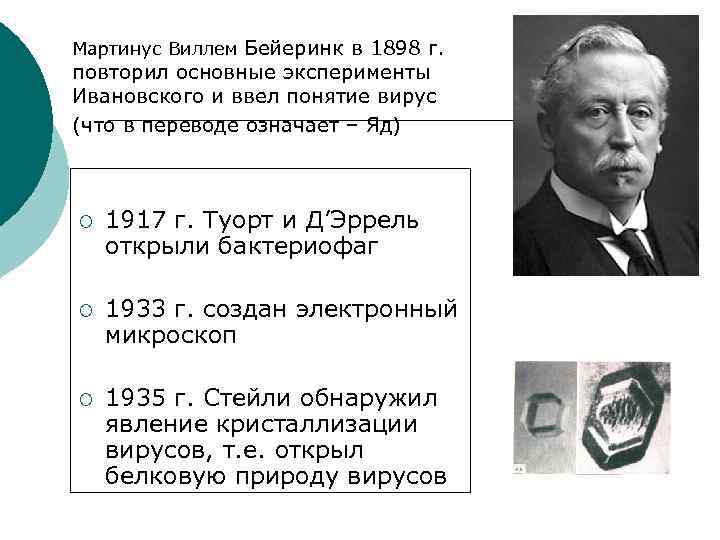 Мартинус Виллем Бейеринк в 1898 г. повторил основные эксперименты Ивановского и ввел понятие вирус
