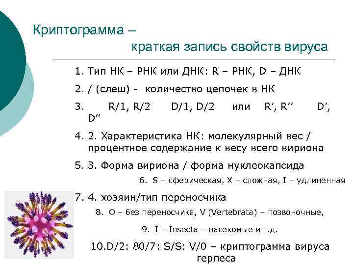 Криптограмма – краткая запись свойств вируса 1. Тип НК – РНК или ДНК: R