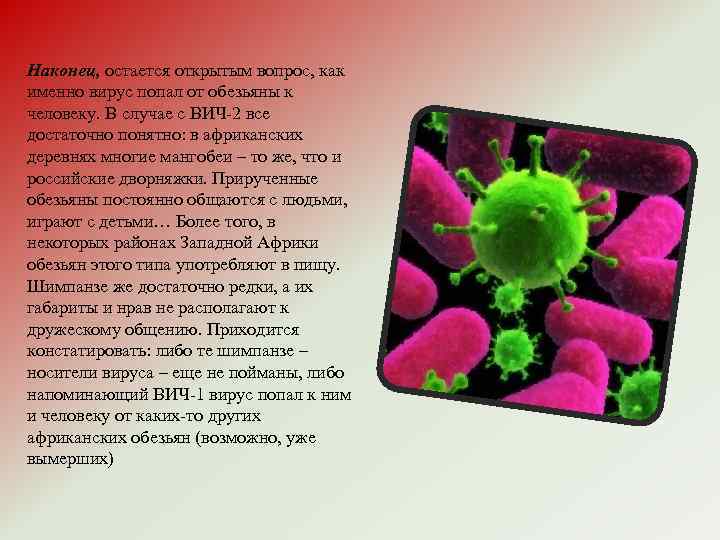 Наконец, остается открытым вопрос, как именно вирус попал от обезьяны к человеку. В случае