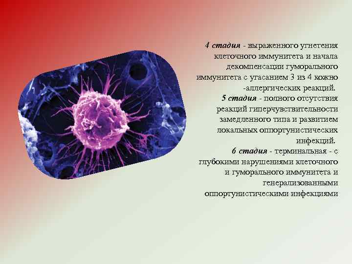 4 стадия - выраженного угнетения клеточного иммунитета и начала декомпенсации гуморального иммунитета с угасанием