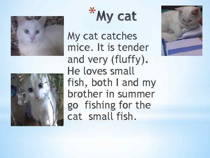 * My catches mice. It is tender and very (fluffy). He loves small fish,