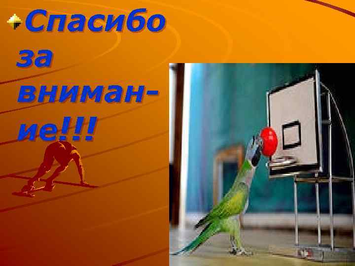 Спасибо за внимание!!! 