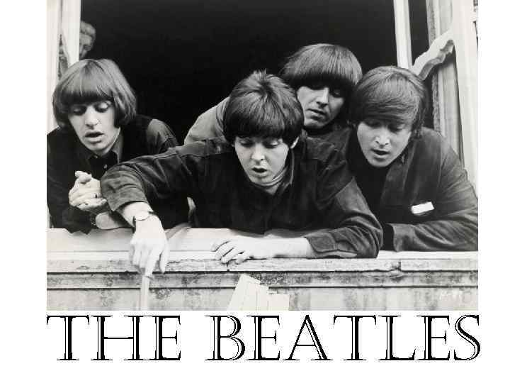 the Beatles 