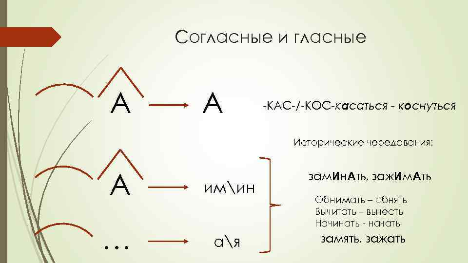 Согласные и гласные А А -КАС-/-КОС-касаться - коснуться Исторические чередования: А имин … ая