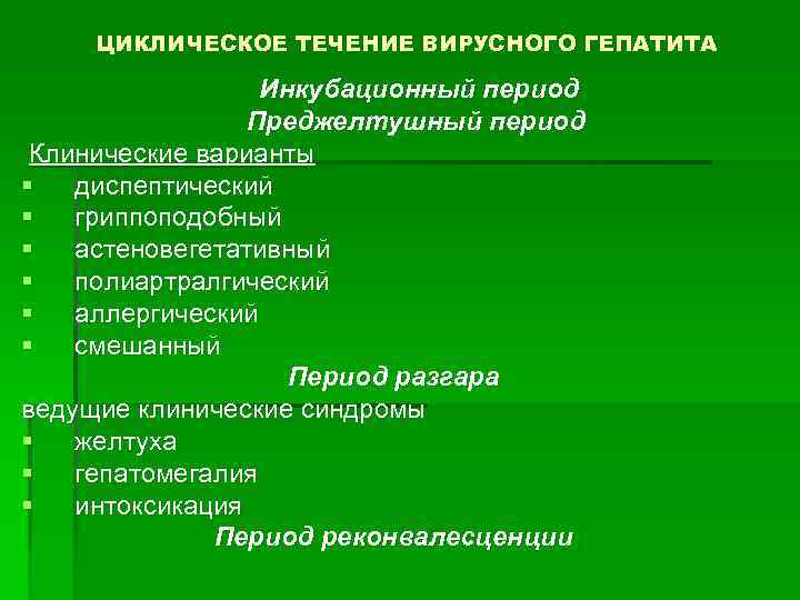 ЦИКЛИЧЕСКОЕ ТЕЧЕНИЕ ВИРУСНОГО ГЕПАТИТА Инкубационный период Преджелтушный период Клинические варианты § диспептический § гриппоподобный